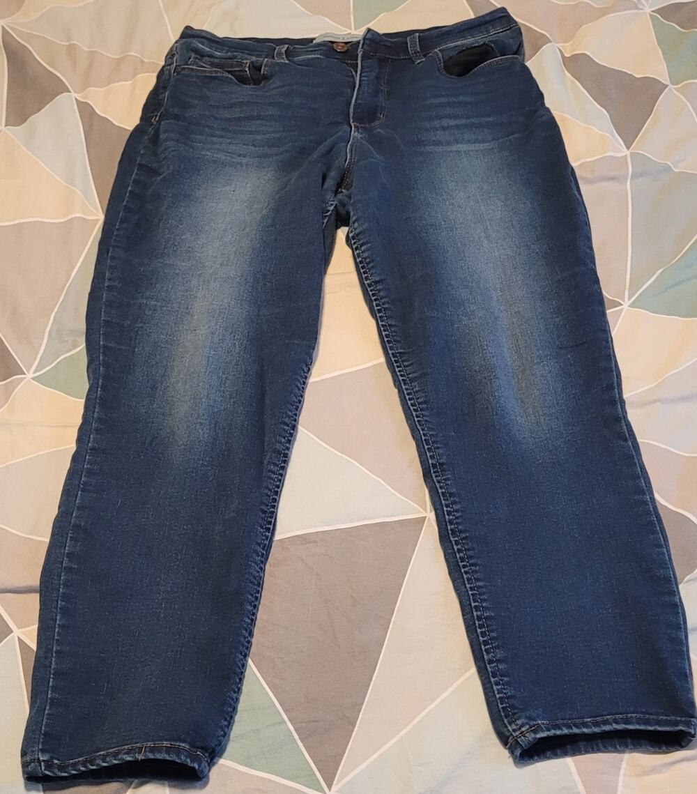 Women's blue jeans size 10/30 by Vintage America high rise skinny ankle